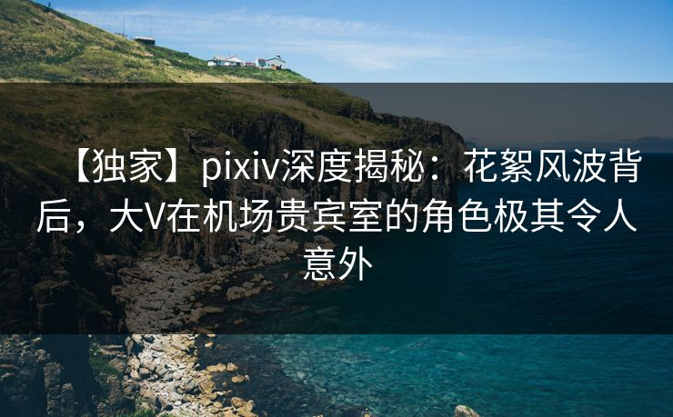 【独家】pixiv深度揭秘：花絮风波背后，大V在机场贵宾室的角色极其令人意外