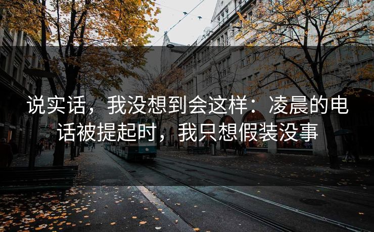 说实话,我没想到会这样:凌晨的电话被提起时,我只想假装没事 说实话,我没想到会这样:凌晨的电话被提起时,我只想假装没事