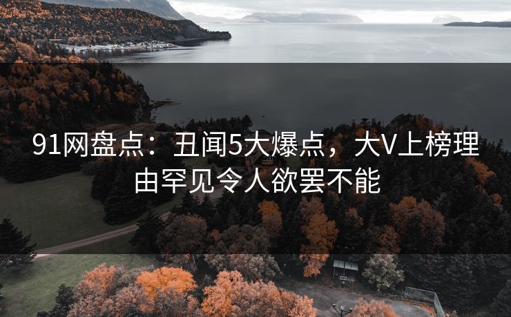 91网盘点：丑闻5大爆点，大V上榜理由罕见令人欲罢不能