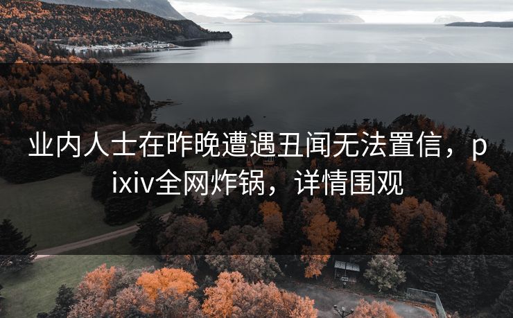 业内人士在昨晚遭遇丑闻无法置信,pixiv全网炸锅,详情围观 业内人士在昨晚遭遇丑闻无法置信,pixiv全网炸锅,详情围观