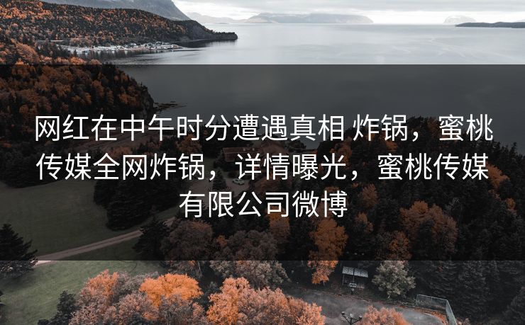 网红在中午时分遭遇真相 炸锅，蜜桃传媒全网炸锅，详情曝光，蜜桃传媒有限公司微博